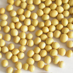 non-gmo-soya-products