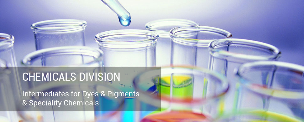 Chemicals Division